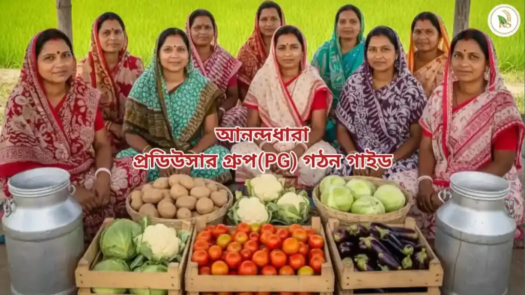 প্রডিউসার গ্রুপ গঠন করে দিদিরা তাদের উৎপাদিত পণ্য বিক্রির জন্যে একত্রিত হয়েছেন।