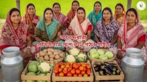 আনন্দধারা প্রকল্পের অধীনে মহিলা প্রডিউসার গ্রুপ (PG) বা উৎপাদক গোষ্ঠী গঠনের পূর্ণাঙ্গ গাইড Producer Group এর দিদিরা তাদের উৎপাদিত পণ্য বিক্রির জন্যে একত্রিত হয়েছেন।