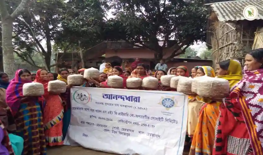 পপ্রডিউসার গ্রুপ গঠন করে একত্রিত হয়ে সহজেই মাশরুম চাষ করা যায় তার একটি দৃশ্য।