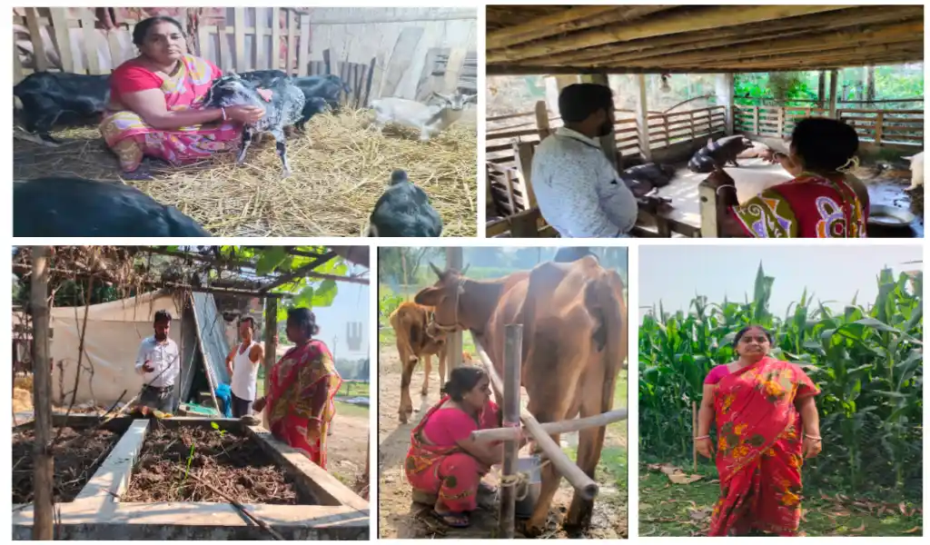 সমন্বিত কৃষি (Integrated farming) মডেল অমৃতা দাস success গল্প