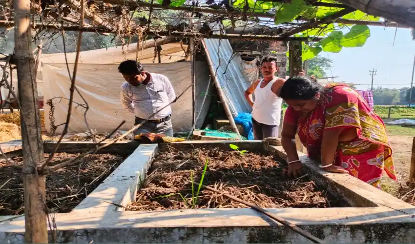নারী উদ্যোক্তা ট্যাংকে কেঁচো সার (Vermicompost) তৈরি করছেন ।