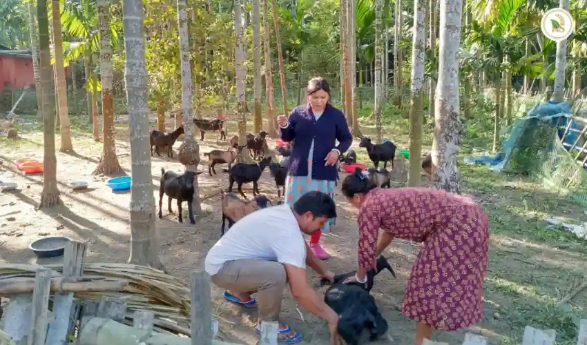 ছাগলের রোগের লক্ষণ ও প্রতিকার প্রাণী মিত্রা PPR ভ্যাক্সিন দিচ্ছে প্রিয়াংকা রায়ের ছাগল খামারে ।