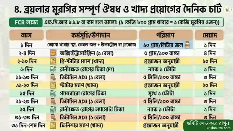 ব্রয়লার মুরগির খাদ্য ও ঔষধ প্রয়োগের সম্পূর্ণ দৈনিক চার্ট