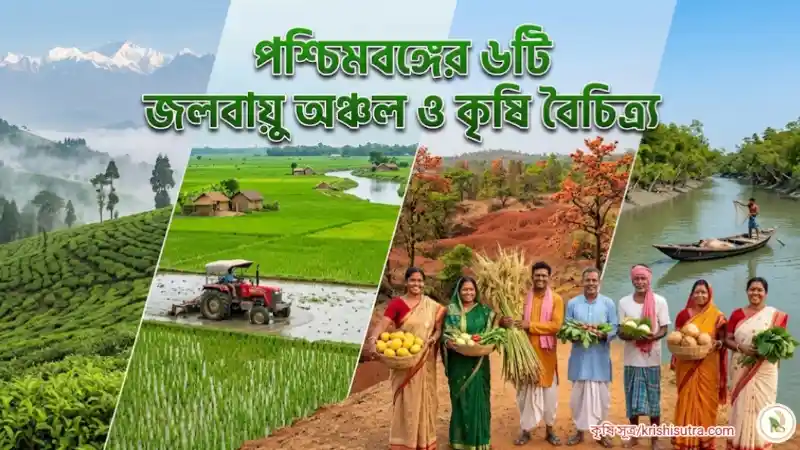 পশ্চিমবঙ্গের ৬টি জলবায়ু অঞ্চল ও কৃষি বৈচিত্র্য ফুটিয়ে তোলা এক নজরে - তরাই-তিস্তা থেকে সুন্দরবন পর্যন্ত কৃষকদের হাসিমুখ এবং ৬টি ভিন্ন জলবায়ু অঞ্চলের ফসল।