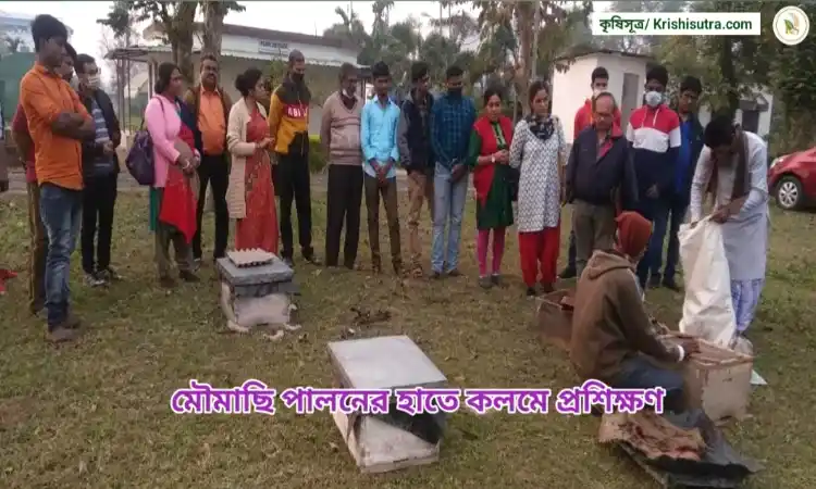 BCKV তে অনুষ্ঠিত হাতে কলমে মৌমাছি পালন প্রশিক্ষণ নিচ্ছে প্রশিক্ষণার্থীরা তার একটি দৃশ্য। 