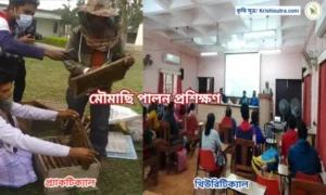 BCKV তে অনুষ্ঠিত মৌমাছি পালন প্রশিক্ষণ এর একটি দৃশ্য ।