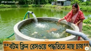 বটম ক্লিন পদ্ধতিতে মাছ চাষ: রেসওয়ে পদ্ধতিতে মাছ চাষ গাইড পুকুরের পাশে আধুনিক বটম ক্লিন পদ্ধতিতে মাছ চাষ এবং একজন নারীর মাছকে খাবার দেওয়ার দৃশ্য।