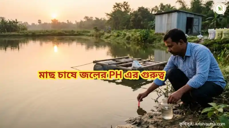 পুকুরে জলে মাছ চাষে পি এইচ (pH) মান পরীক্ষা করছেন একজন সফল মৎস্যচাষি এবং পাশে ডিজিটাল পি এইচ মিটার।