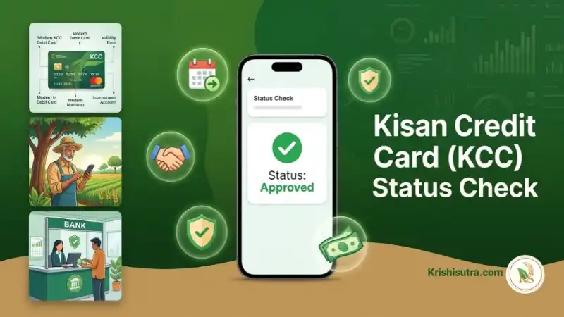 কিষান ক্রেডিট কার্ড স্ট্যাটাস চেক 2026 কিভাবে করবেন তার সহজ পদ্ধতি গুলি দেখানো হয়েছে। পোর্টালে গিয়ে বা সরাসরি ক্লিক করে স্ট্যাটাস চেক করতে পারবেন।
