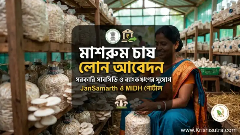 মাশরুম চাষ লোন | মাশরুম চাষের লোন কভাবে করবে? কোথায় কোথায় আবেদন করা যায় Mushroom subsidy ? Mushroom chas loan নিতে Mushroom loan apply online 2026 করুন সহজ।
