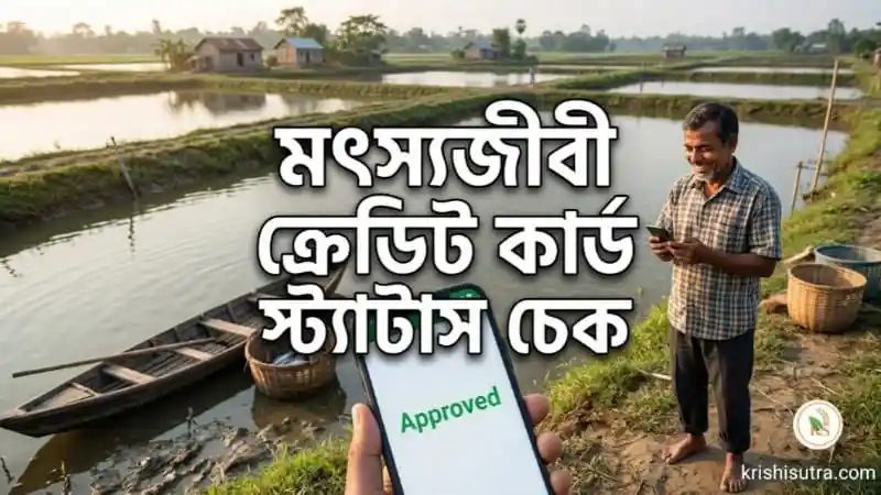 মৎস্যজীবী ক্রেডিট কার্ড স্ট্যাটাস চেক এবং মৎস্যজীবী কার্ড চেক করতে মোবাইলে Motso jibi card status check, Fisherman registration card check online ও Matsyajibi card status check online করার Approved স্ট্যাটাসের দৃশ্য।